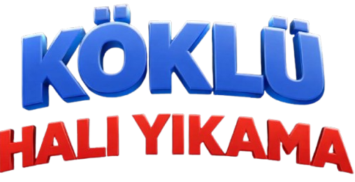 K&ouml;kl&uuml; Halı Yıkama
